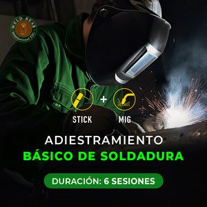 Curso Básico (Admisión Caguas)