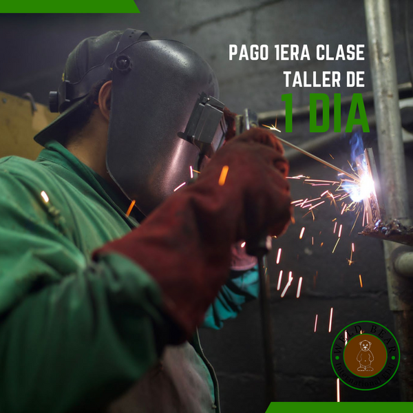 Pago de clase teorica taller de un dia